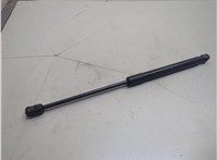 51237148346, 7148346 Амортизатор капота BMW X6 E71 2007-2014 21045543 #1