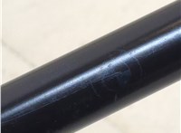 51237148346, 7148346 Амортизатор капота BMW X6 E71 2007-2014 21045543 #3