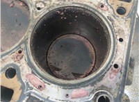  Блок цилиндров (Шорт блок) Mazda 6 (GG) 2002-2007 21045836 #8
