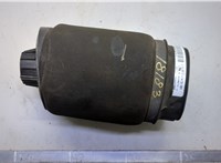 A2513200025, A2513200325 Пневмоподушка Mercedes R W251 2005-2017 21046762 #1