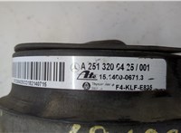 A2513200025, A2513200325 Пневмоподушка Mercedes R W251 2005-2017 21046762 #3
