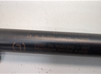 GJ545406A11AB Амортизатор крышки багажника Ford Escape 2015-2019 21047454 #3