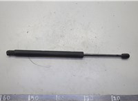 A2518800229 Амортизатор капота Mercedes R W251 2005-2017 21049492 #1