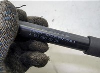 A2518800229 Амортизатор капота Mercedes R W251 2005-2017 21049492 #3