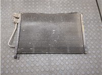 1672022 Радиатор кондиционера Ford Fusion 2002-2012 21049727 #1