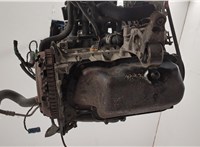 0135EC Двигатель (ДВС) Citroen Berlingo 1997-2002 21049911 #9