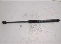  Амортизатор капота BMW X6 E71 2007-2014 21055057 #1