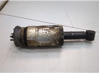  Амортизатор подвески Land Rover Discovery 3 2004-2009 21055401 #1