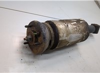  Амортизатор подвески Land Rover Discovery 3 2004-2009 21055401 #2