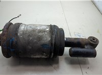 22260147 Амортизатор подвески Land Rover Range Rover Sport 2005-2013 21055800 #4