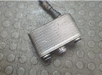 17107500754, 7500754 Теплообменник BMW X5 E53 2000-2006 21056119 #1