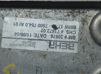17107500754, 7500754 Теплообменник BMW X5 E53 2000-2006 21056119 #2
