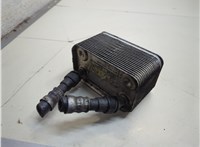17107500754, 7500754 Теплообменник BMW X5 E53 2000-2006 21057168 #1