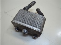 17107500754, 7500754 Теплообменник BMW X5 E53 2000-2006 21057168 #3