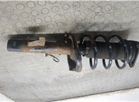 1595298, 4M5118K001PBD Амортизатор подвески Ford Focus 2 2008-2011 21058185 #5