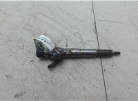 166008052R, 166004305R Форсунка топливная Renault Scenic 2009-2012 21058313 #1