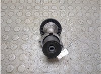 a2712000270 Натяжитель приводного ремня Mercedes CLK W209 2002-2010 21058437 #3