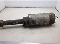 RNB501460, RSC500050 Амортизатор подвески Land Rover Range Rover Sport 2005-2013 21058585 #1