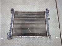 1671968 Радиатор охлаждения двигателя Ford Focus 1 1998-2004 21059189 #1