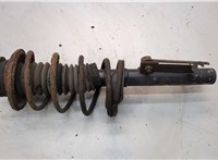 1670777, 6N4118K001ABE, 1445944, 6N415310ACC Амортизатор подвески Ford Focus 2 2008-2011 21059348 #1