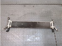  Радиатор охлаждения двигателя Volkswagen Touareg 2006-2010 21059395 #2