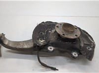 31216775768, 31206872888, 6775768, 6872888 Ступица (кулак, цапфа) BMW 5 F07 Gran Turismo 2010-2017 21060986 #1