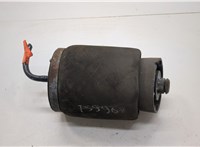 37121095579, 1095579 Пневмоподушка BMW X5 E53 2000-2006 21061635 #1