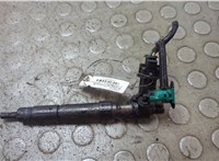 1509239, 8G9Q9F593AA Форсунка топливная Ford Mondeo 4 2007-2015 21064561 #1