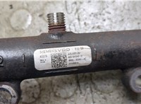  Рампа (рейка) топливная Land Rover Range Rover Sport 2005-2013 21065205 #3