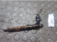 LR001325, LR006864 Форсунка топливная Land Rover Freelander 2 2006-2014 21065237 #1