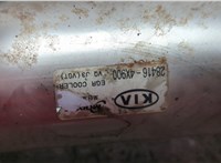  Клапан рециркуляции газов (EGR) KIA Carnival 2006-2014 21066502 #2
