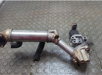  Клапан рециркуляции газов (EGR) KIA Carnival 2006-2014 21066502 #5