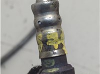  Лямбда зонд Ford Transit (Tourneo) Connect 2002-2013 21067839 #5