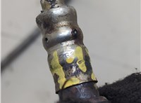  Лямбда зонд Ford Transit (Tourneo) Connect 2002-2013 21067839 #7