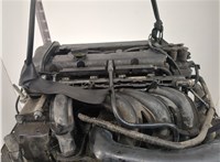  Насос гидроусилителя руля (ГУР) Ford Focus 2 2005-2008 11762488 #5