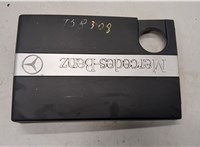  Накладка декоративная на ДВС Mercedes C W203 2000-2008 21069093 #1