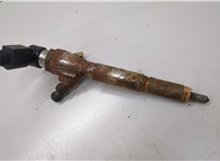 166009445R, 166001225R, 8200294788 Форсунка топливная Renault Scenic 2009-2012 21071953 #1