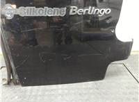  Дверь задняя (распашная) Citroen Berlingo 2008-2012 21072429 #2