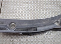668631CA0A Жабо под дворники (дождевик) Infiniti FX 2008-2013 21073695 #1