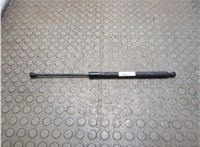 90450004R Амортизатор крышки багажника Renault Scenic 2012-2016 21074074 #1