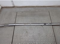 738521AA1A Молдинг крыши Nissan Murano 2008-2015 21074205 #2