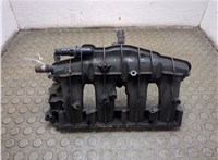 06F133201P Коллектор впускной Volkswagen Passat 6 2005-2010 21077771 #1