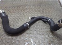 144605006R Патрубок интеркулера Dacia Sandero 2020-2025 21078276 #3