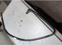  Уплотнитель Mercedes Citan 2012-2021 21079399 #1