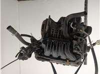  Насос гидроусилителя руля (ГУР) Toyota Corolla Verso 2002-2004 11761556 #1