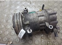  Компрессор кондиционера Peugeot 307 2001-2008 21081519 #1