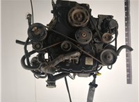  Двигатель (ДВС) Ford Transit 2000-2006 21081658 #1