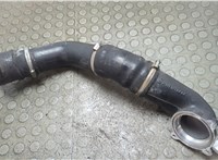 A1111410404 Патрубок интеркулера Mercedes CLK W208 1997-2003 21082953 #1