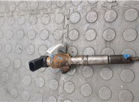 166008052R, 166004305R, 8200704191 Форсунка топливная Renault Scenic 2009-2012 21088653 #1