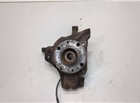 7608131, 46528901 Ступица (кулак, цапфа) Fiat Punto 1999-2010 21092057 #1